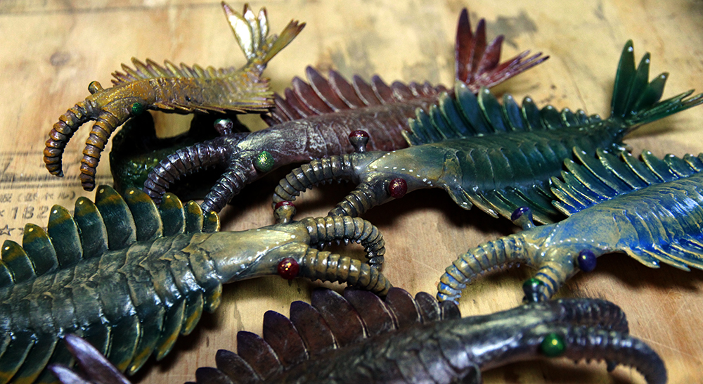 anomalocaris アノマロカリス